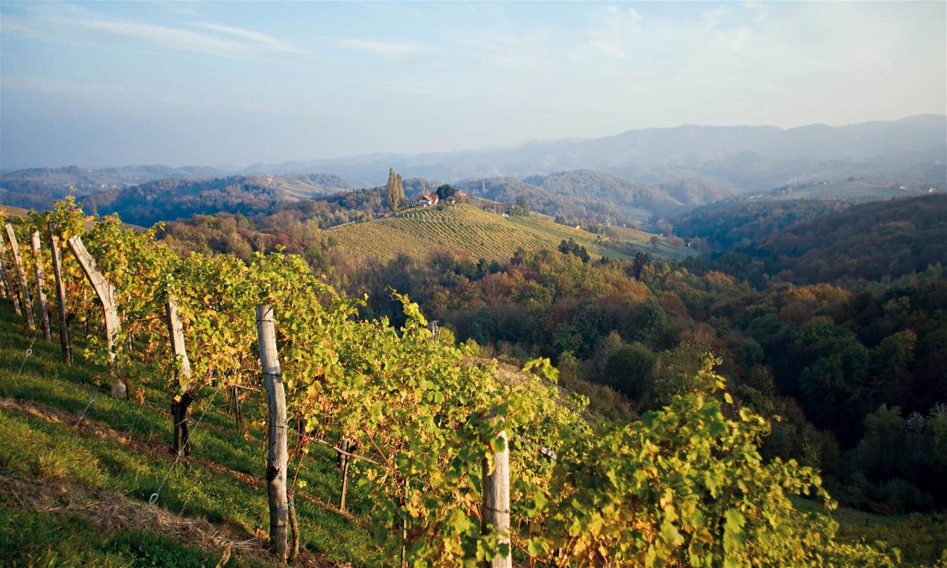 S Dsteirische Weinstra E Bewegung Und Genuss Verbinden Things