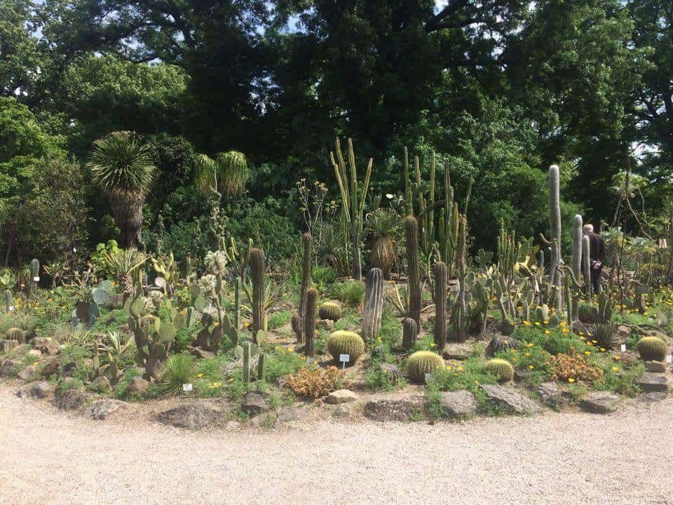 Botanischer Garten-Sommerausklang-Marie