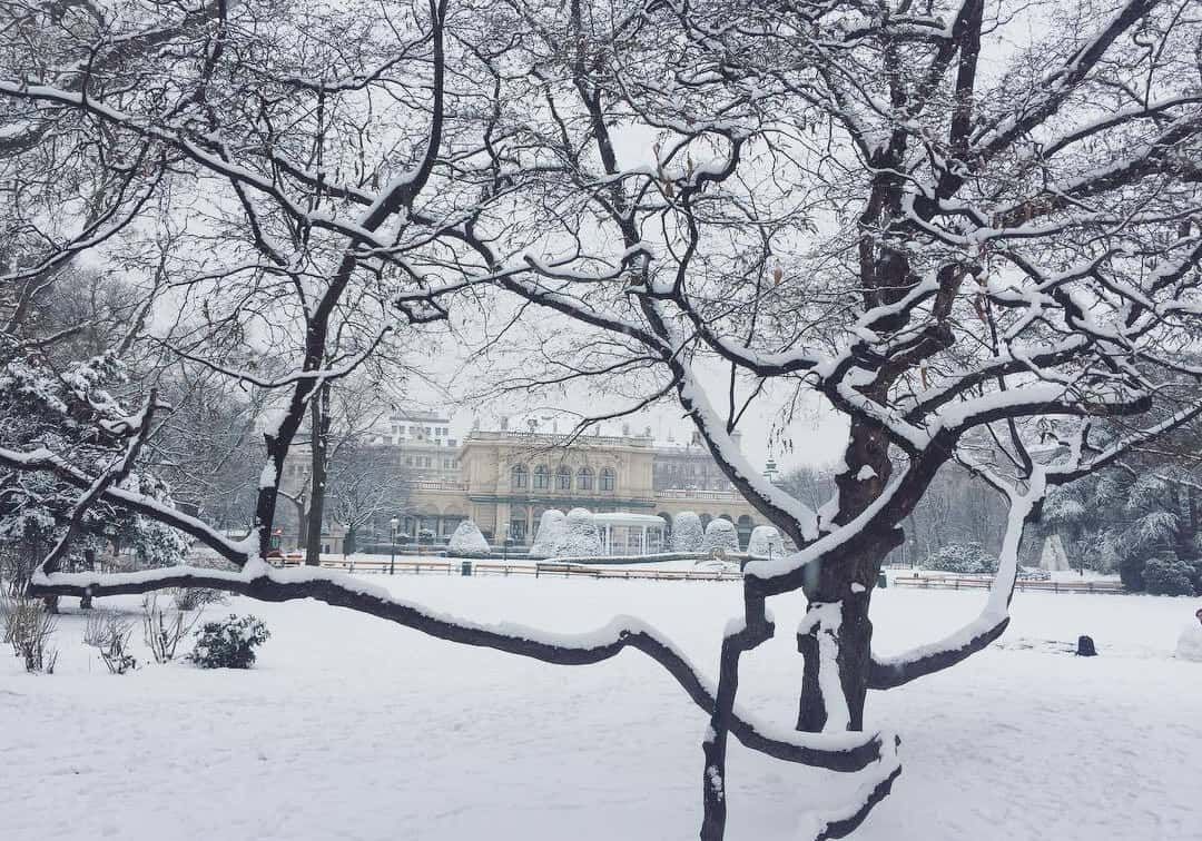 Der verschneite Stadtpark im Winter (c) 1000things