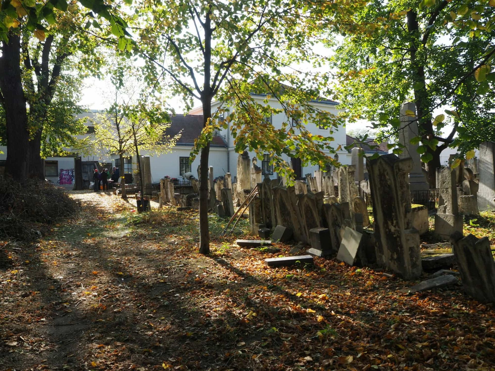 Jüdischer Friedhof Währing