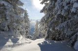 Winterwanderungen Tirol