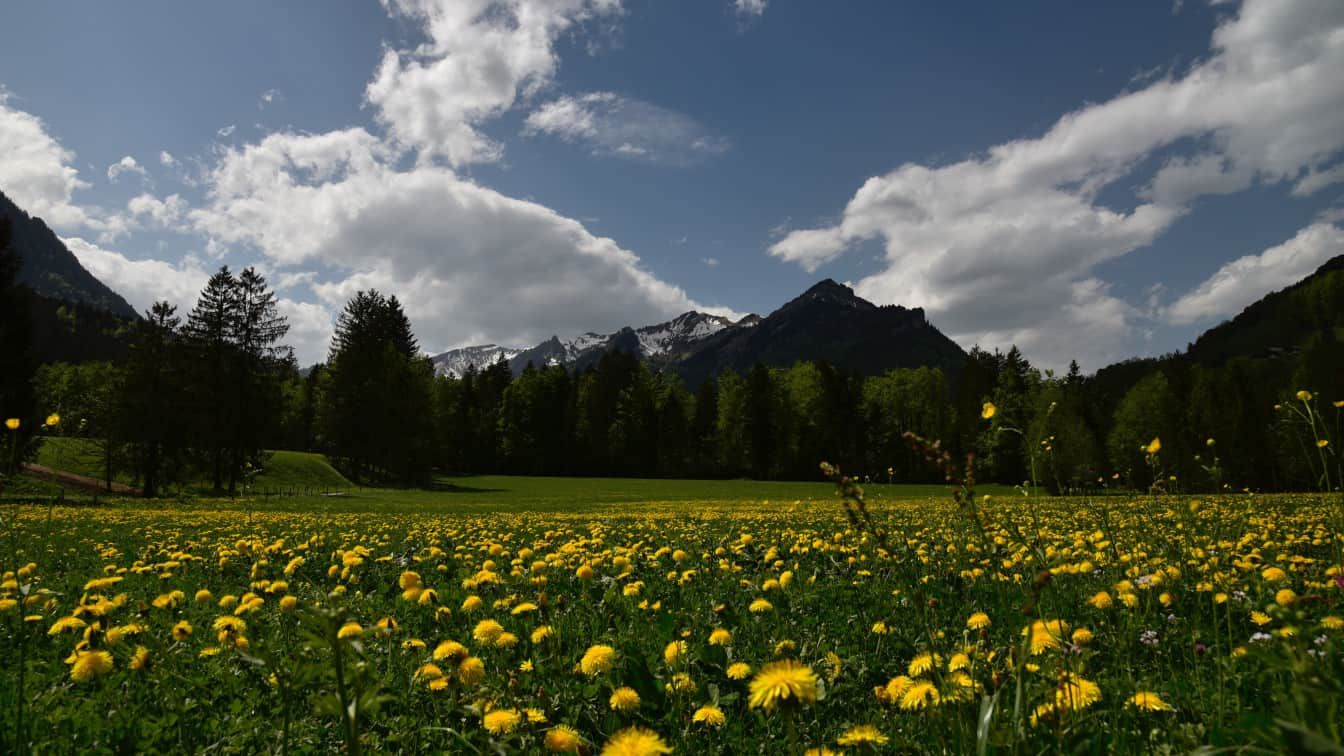 Naturabenteuer in Vorarlberg