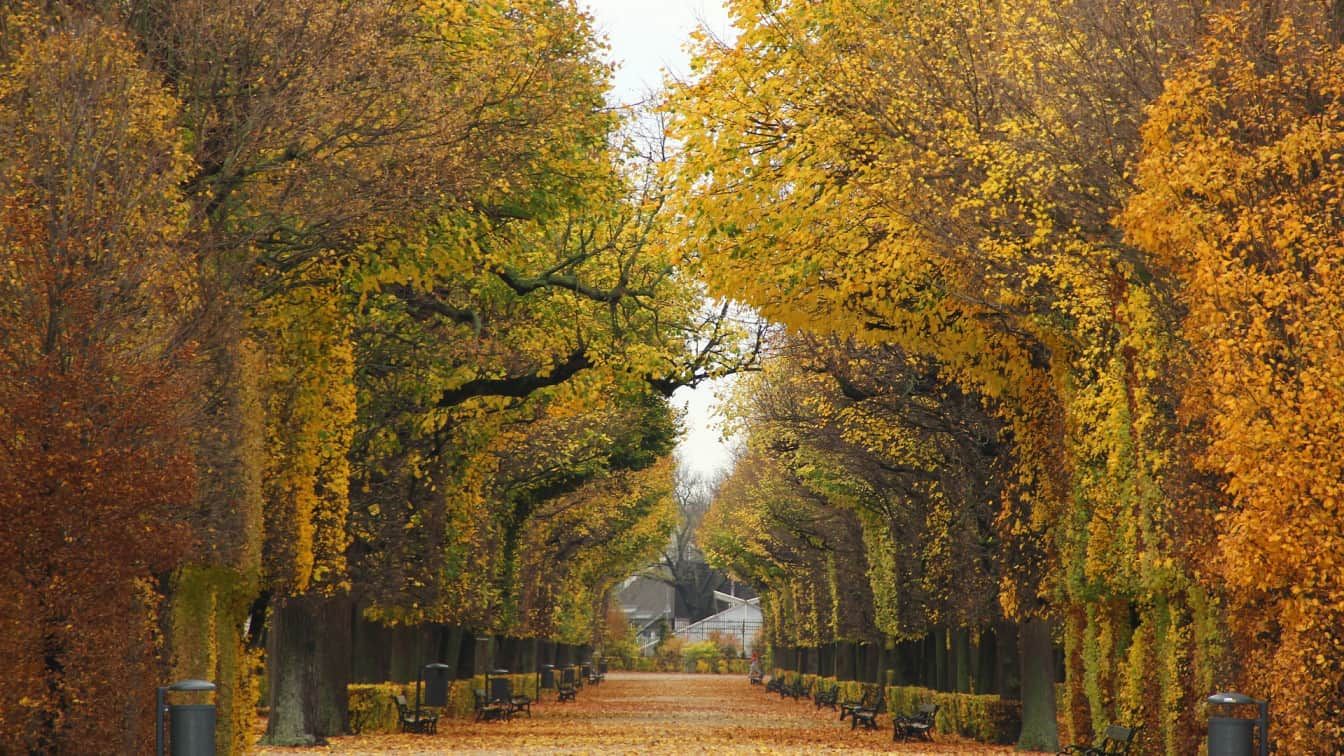 Herbst Wien