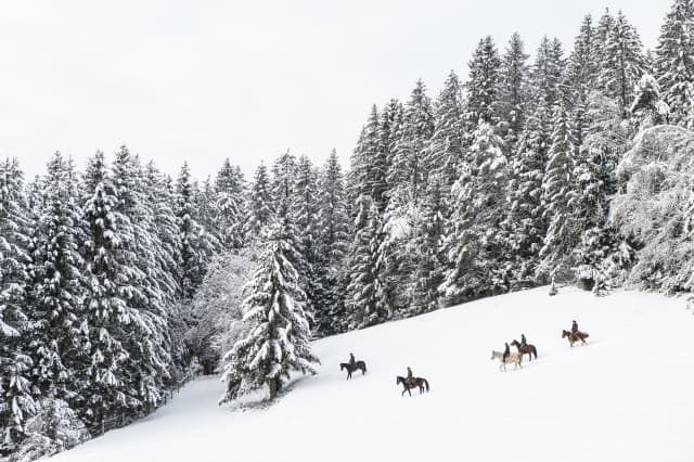Winter in Oberösterreich