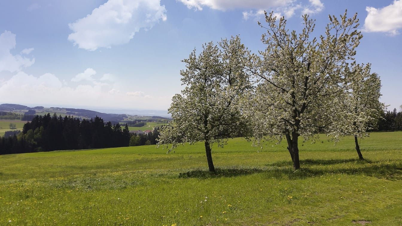 Frühling Oberösterreich