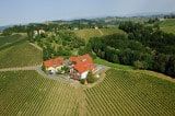 Dreisiebner Stammhaus: Weingut in der Südsteiermark