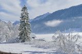 Weißensee Winter